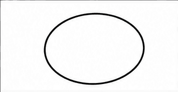 Step 1: draw the turtle's shell when drawing a turtle