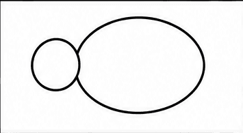Step 2: add a round head when drawing a turtle